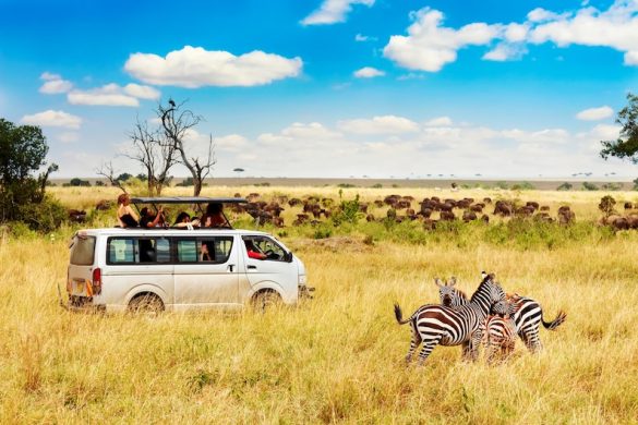private safari tours Kenya