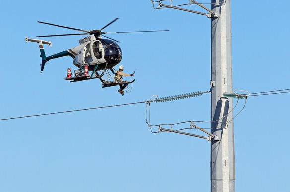 invasive species treatment