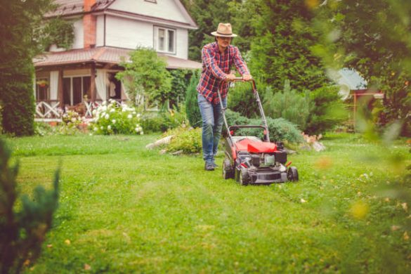 lawn care services