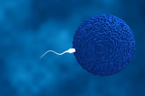 Embryo Freezing