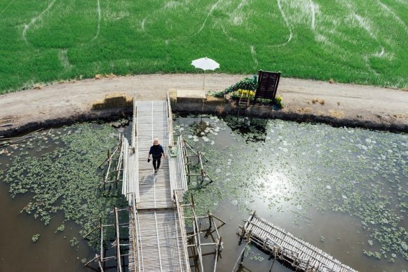 Lake management companies