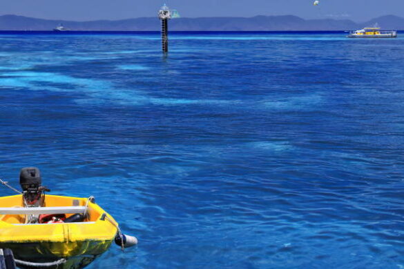 ROV Underwater Inspection Vancouver
